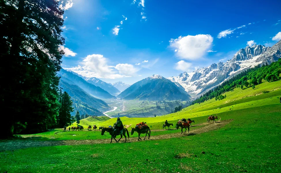 Kashmir